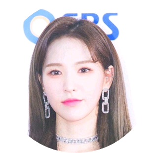 손승완 image