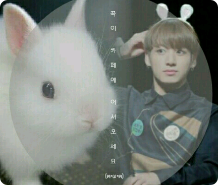 Chào mừng đến với Kkuki Cafe (ฅω·ฅ) thumbnail