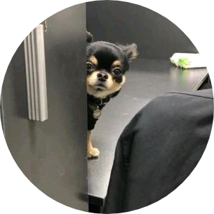 탄이 image