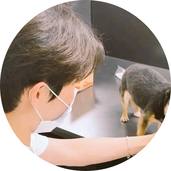 귀가얇은만두 image