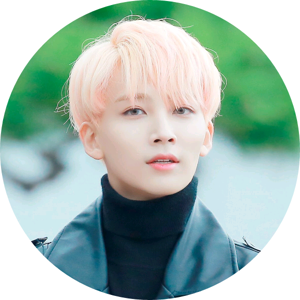 정한 image