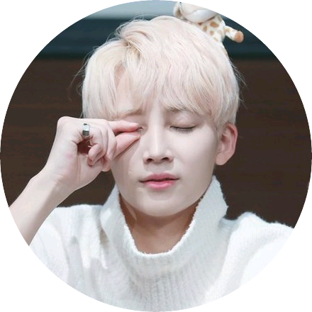 정한 image
