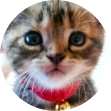 태형이(냥이) image