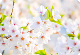 직장상사가 왜 이따구야?!!! thumbnail