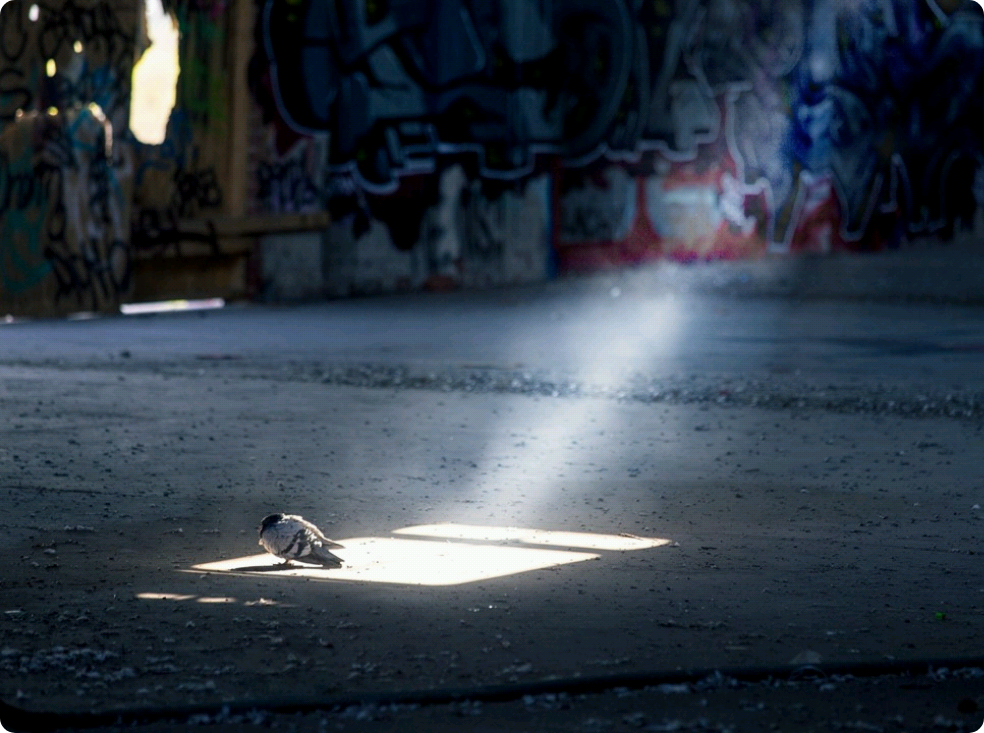 납치를 당했는데 그 사람이 내 친구였어요! thumbnail