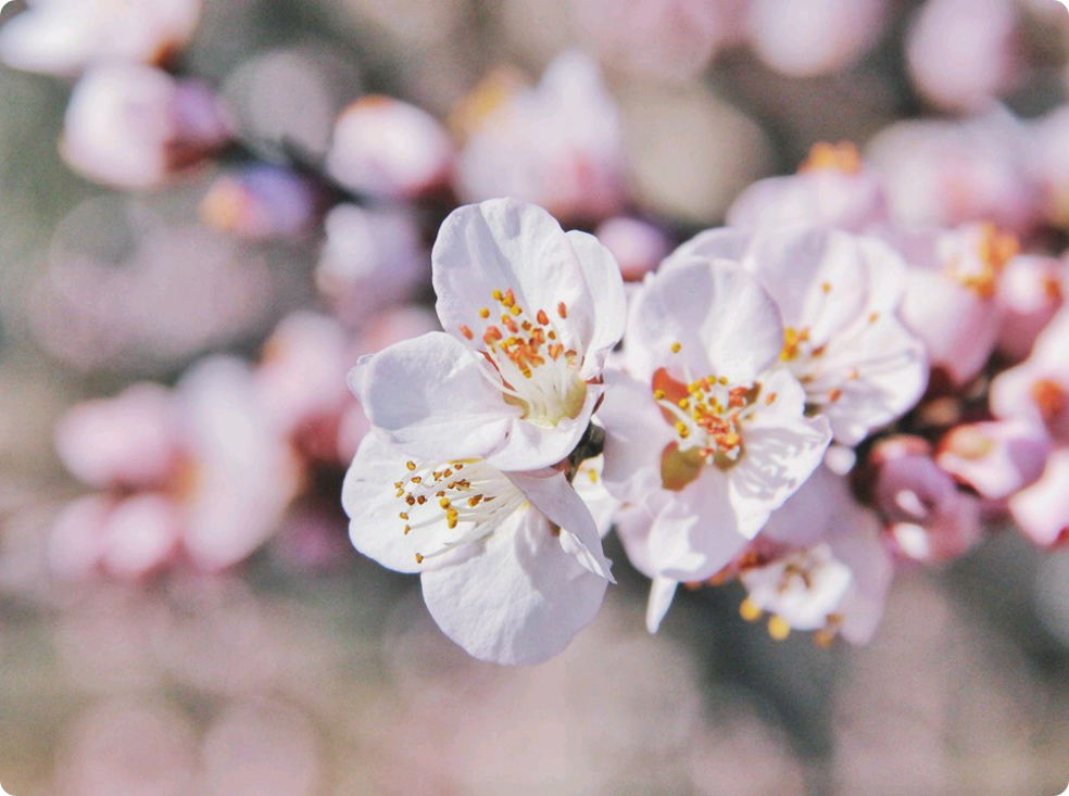 극혐과의 동거 thumbnail