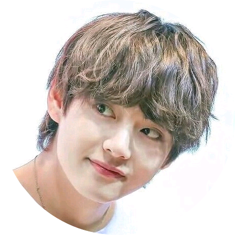 태형 image