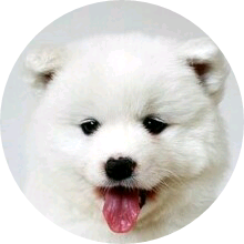 녤이 image