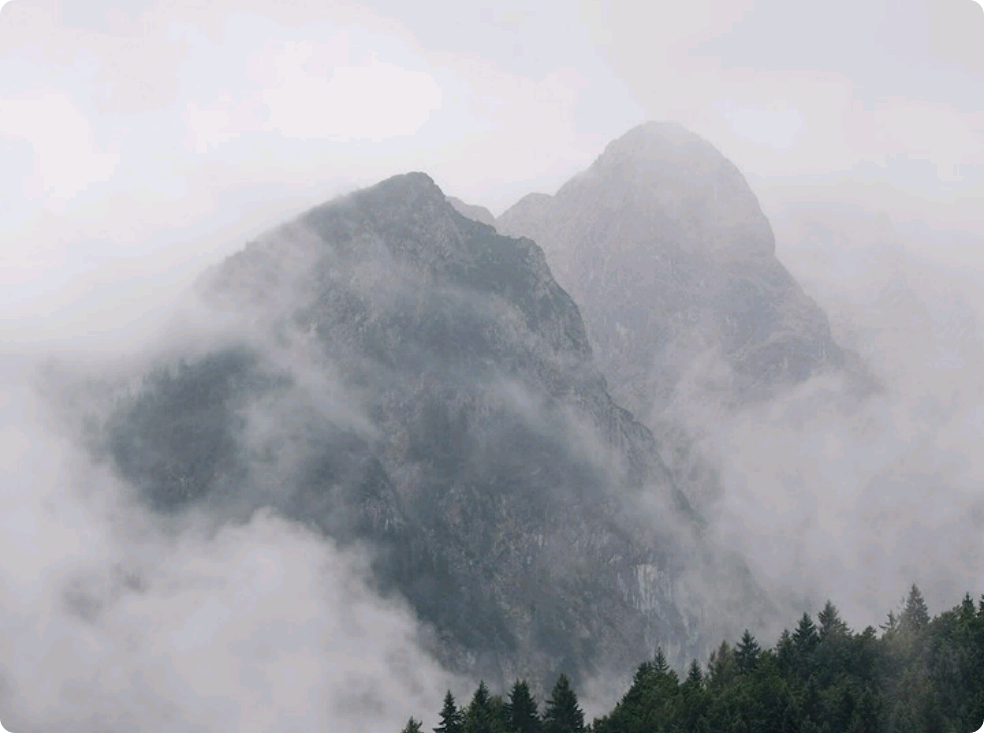 Rừng im lặng thumbnail