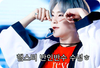 [공모전]햄스터 반인반수 수녕ㅎ thumbnail