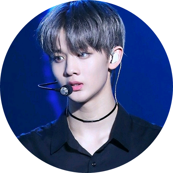 배진영 image