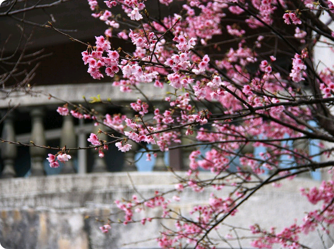 Tira y afloja entre amigos y el sexo opuesto thumbnail