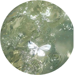 주인장 image