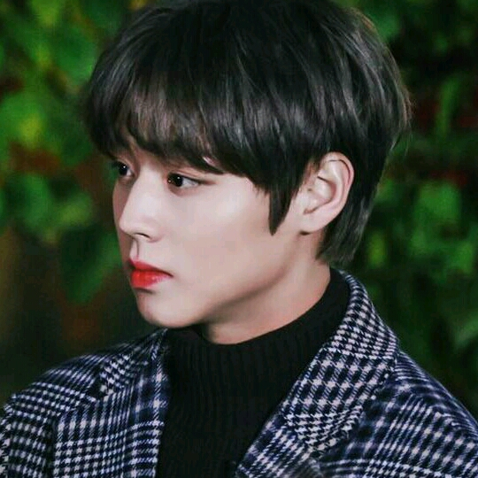 박지훈 image