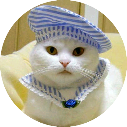 고양이(민윤기) image