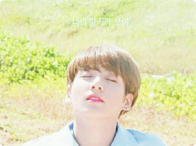 = 너의 향기가 보여 . thumbnail