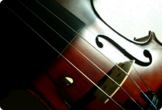 Sans raison... sans raison... thumbnail