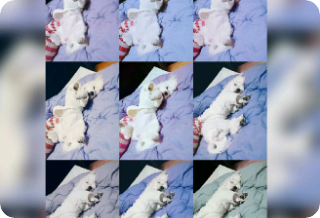 ジュインはチミニだよ！  thumbnail