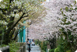 나의 상상 thumbnail