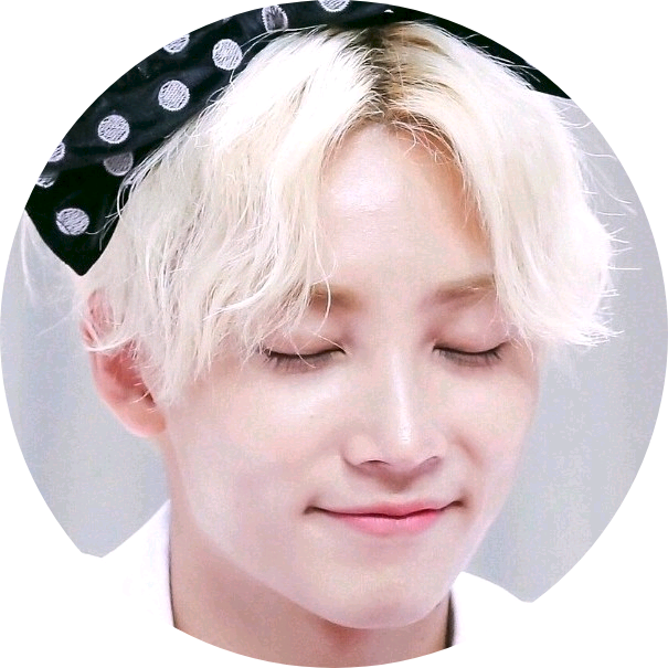정한 image