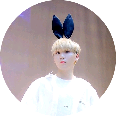 부승관 image