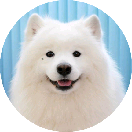 녤 image