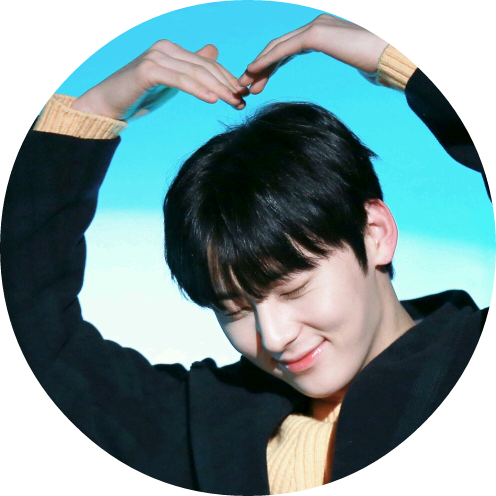 황갈량(황민현) image