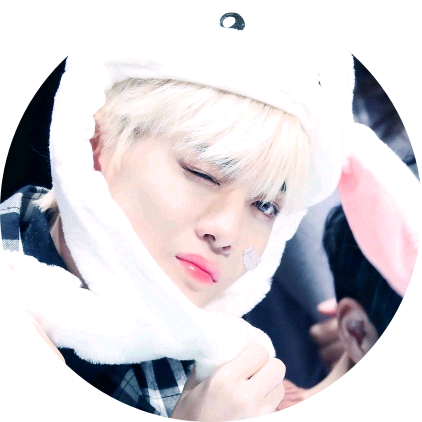 배진영 image