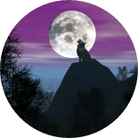 늑대들의 황제 image