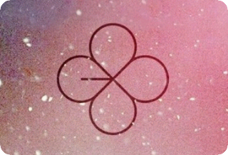 First Year Season 3 thumbnail