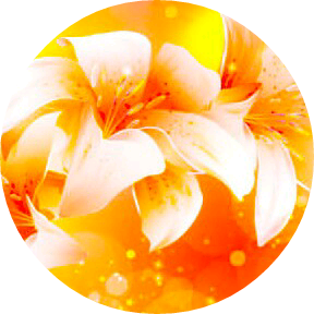 라디오 DJ 아라 image