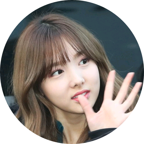 나연 image
