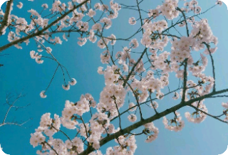 단편모음집 thumbnail