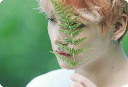 Los cuatro dioses guardianes thumbnail