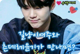 Apa yang terjadi ketika seorang pahlawan wanita kucing liar dan Yoongi yang tsundere bertemu? thumbnail