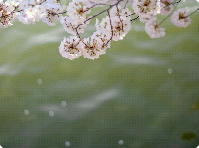 Grazie per il tuo duro lavoro. Sii sempre grato e prenditi cura di te. thumbnail