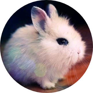 김여주 (토끼) image