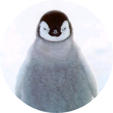 윤지성 (팽귄) image