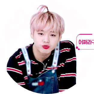 박지훈 image