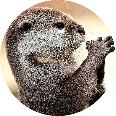 이대휘(수달) image