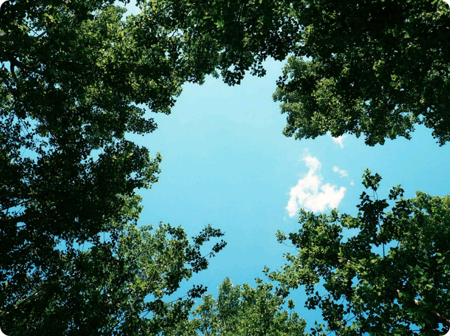 Woojin-chan~! thumbnail