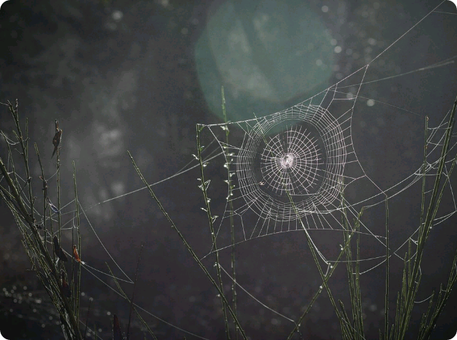 The handsome vampire guy who hid so well and then appeared out of nowhere thumbnail