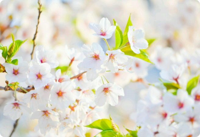 방탄 어린이집 thumbnail