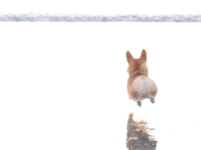 탈덕을 해야될까요? thumbnail