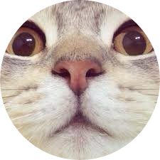 고돌이(고양이) image