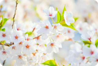 아기 소년단 thumbnail