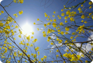 First love, friend, unrequited love, senior thumbnail