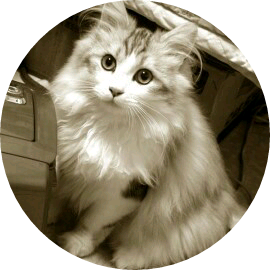 강맹이 image