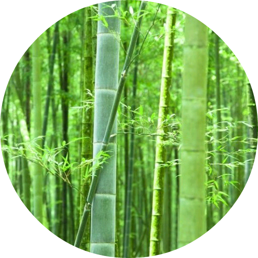 서연대 대나무숲 image