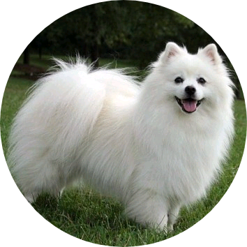 이여주 (변신상태) image